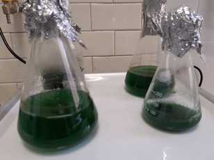 Attrezzature nel laboratorio dove &egrave; nato il brevetto