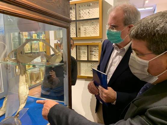 Il Rettore Francesco Mola con il Direttore del Dipartimento di Scienze della Vita e dell'Ambiente, Enzo Tramontano, questa mattina al Museo di Zoologia