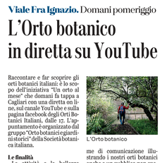 La notizia su L'Unione Sarda del 27 ottobre 2021 a pagina 21