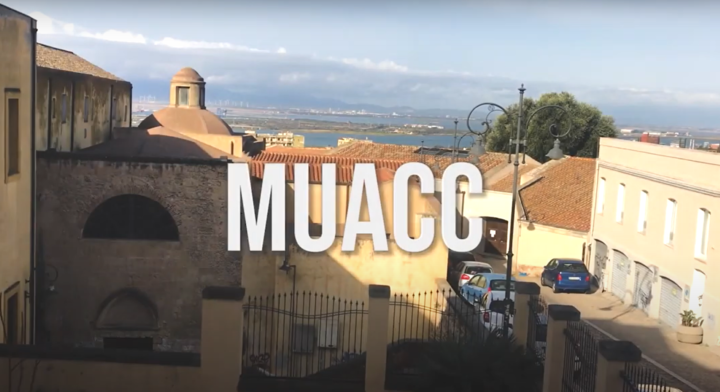MUACC anteprima video
