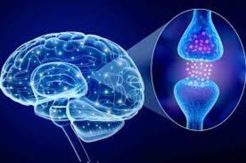 Un'immagine tratta dal sito pazienti.it