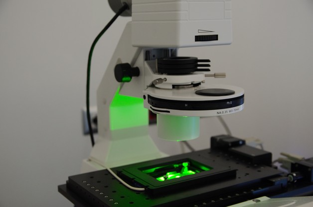 Microscopia Ottica