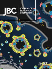 La copertina del numero di maggio di JBC