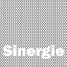 Il logo del progetto "Sinergie"