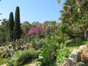 Veduta dell'Orto botanico di Cagliari
