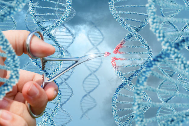 Il lavoro certosino dei ricercatori dietro i passi avanti della genetica