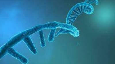 Rna, riferimento degli studiosi negli scenari in continua evoluzione delle patologie genetiche
