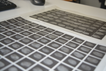 Sequenza di impronte digitali