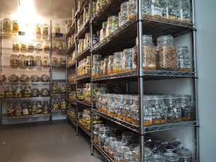 Una delle celle frigorifere della Banca