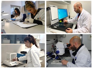 Ricercatori e ricercatrici al lavoro nei locali della Banca