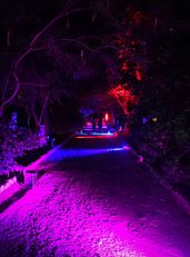 L'Orto botanico in un'immagine notturna del playgroung di gioco