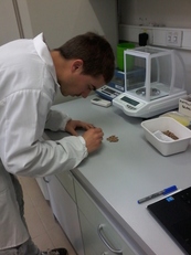 Cagliari. Una fase del lavoro in Banca del germoplasma