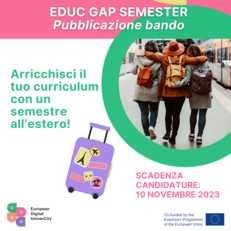 educ gap semester