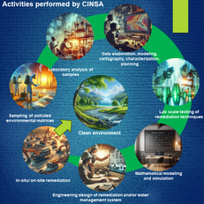 The activities of the Center