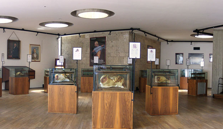 Museo "Raccolta delle cere anatomiche di Clemente Susini"