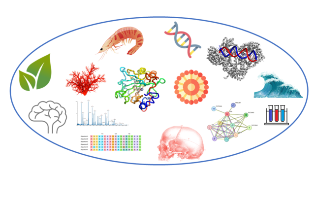 PhD Programme in Life, Environmental and Drug Sciences