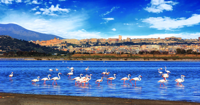 Molentargius&ndash;Saline Regional Park