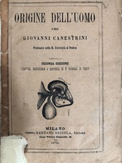 Origine dell'uomo