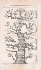 L'albero della vita
