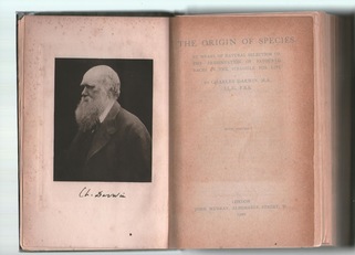 Ritratto di Charles Darwin