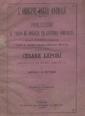 L'origine degli animali