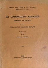 Sul coccodrilliano garialoide