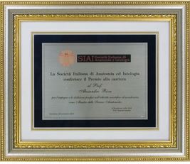 La targa del Premio carriera