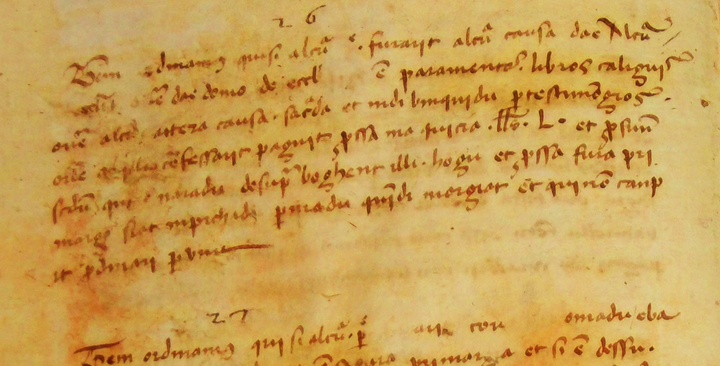 inchiostri, carte e pergamene del XIV-XVI secolo analizzate dagli specialisti di fisica dell'ateneo cagliaritano