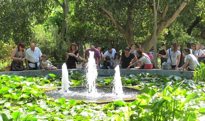 Una delle fontane dell'Orto botanico