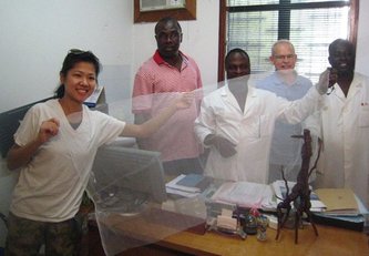 Mosquito net, usata come protesi per il trattamento delle ernie