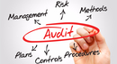 Internal audit e risk management