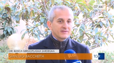 Gianluigi Bacchetta, intervistato dal TgR della RAI