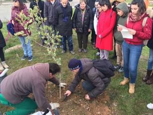 Il giardiniere Vittorio Gigi Malfatti mostra agli studenti come piantumare correttamente una specie