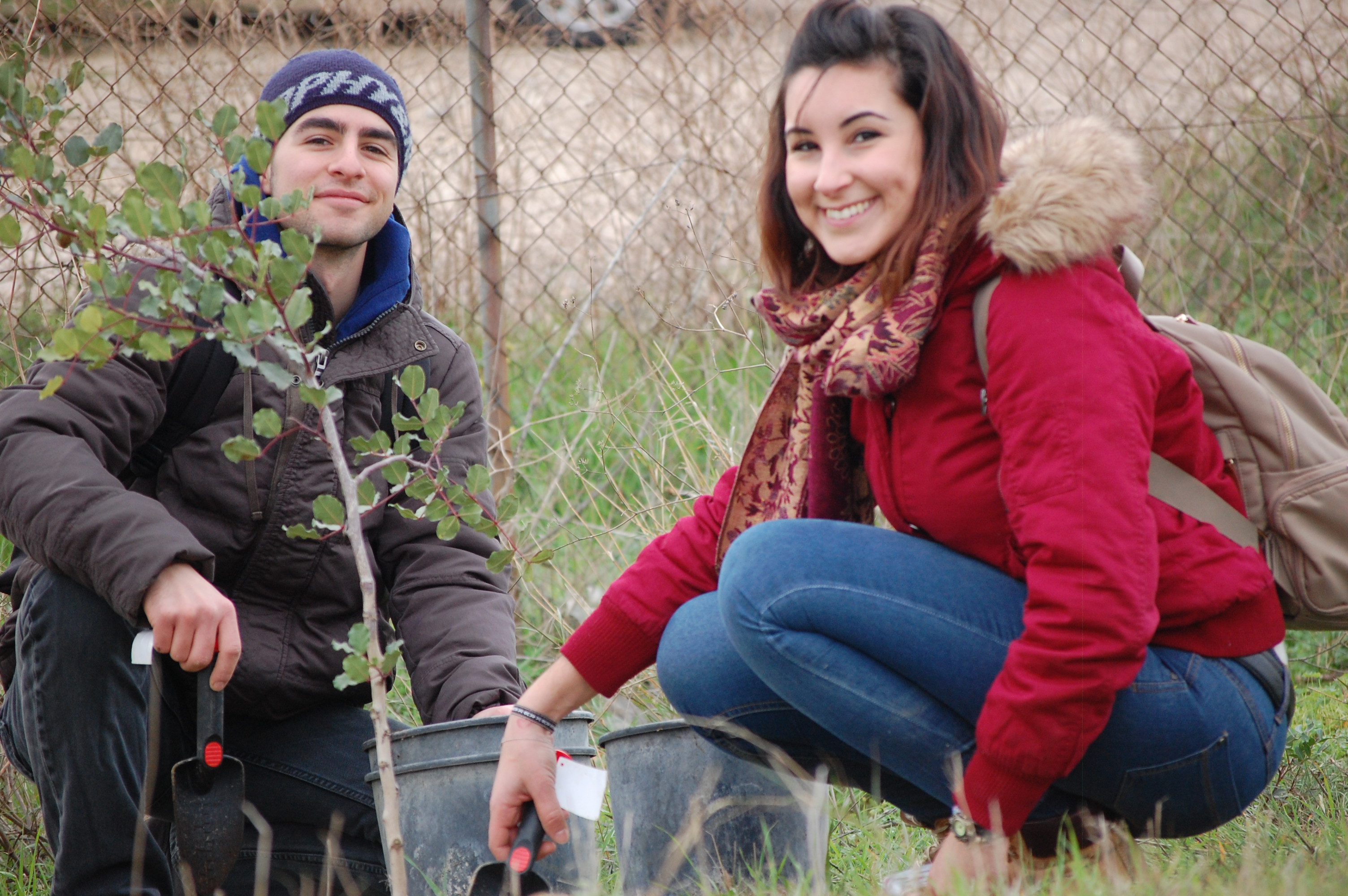 Unicaverde, 150 piante messe a dimora dagli studenti di UniCa