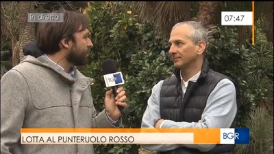 Simone Lupo Bagnacani intervista Gianluigi Bacchetta